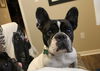 Lizzy