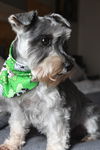 Rosie