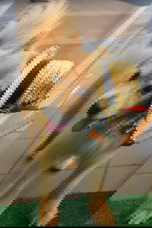 Jonah