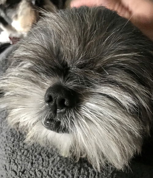 Murphy