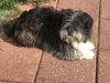 Murphy