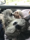 Murphy