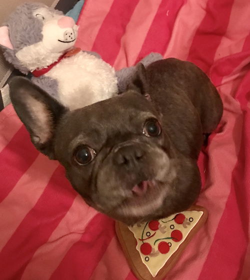 Lilo