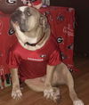 Chubb