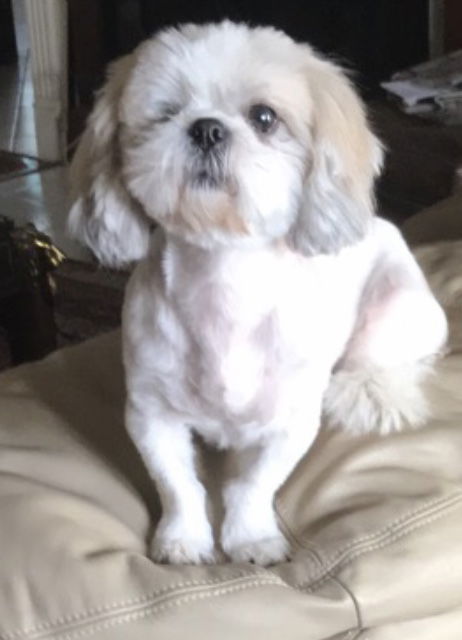 Lucy (LouLou)