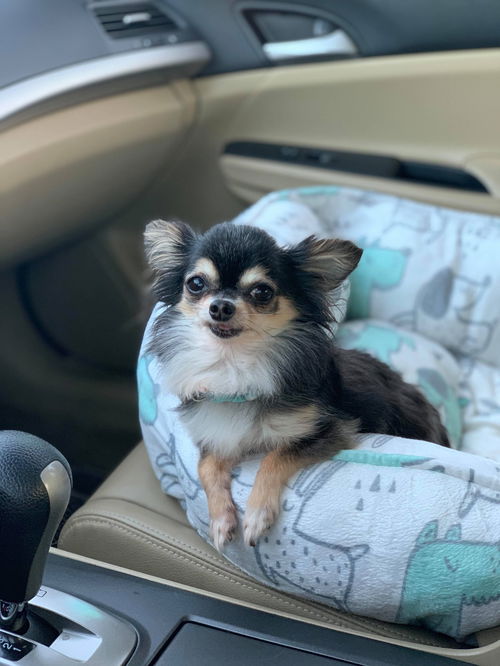 Chloe