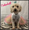Tinkerbell