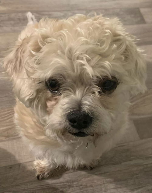 Molly