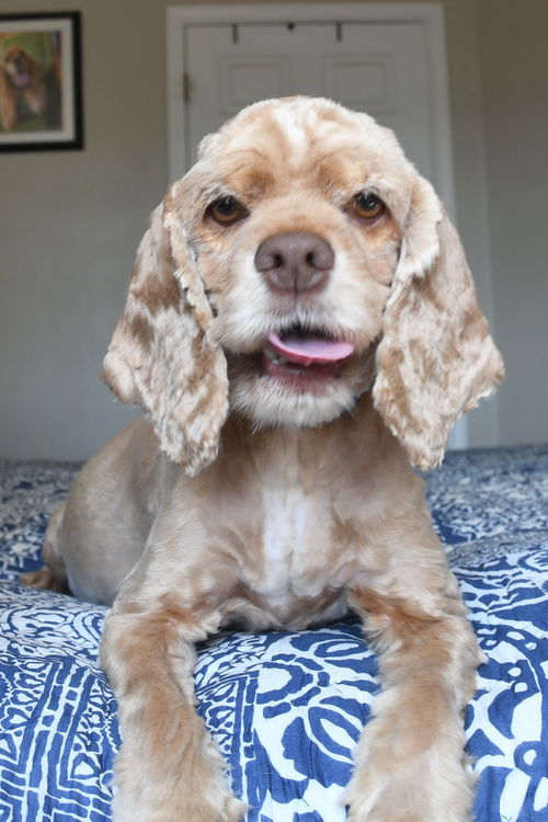 Lola