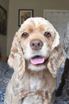 Lola