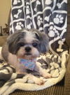 Little Teeko