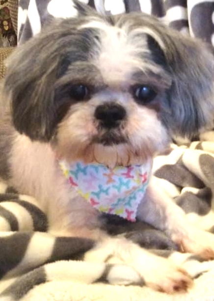 Little Teeko