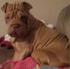 Lucy