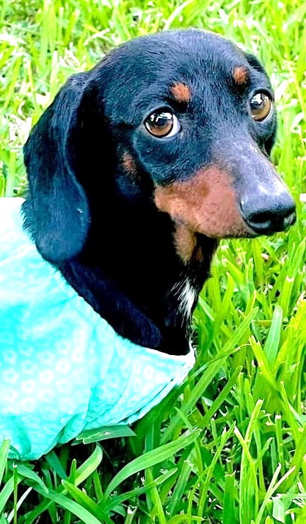 Mitzi