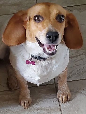 Molly