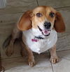 Molly