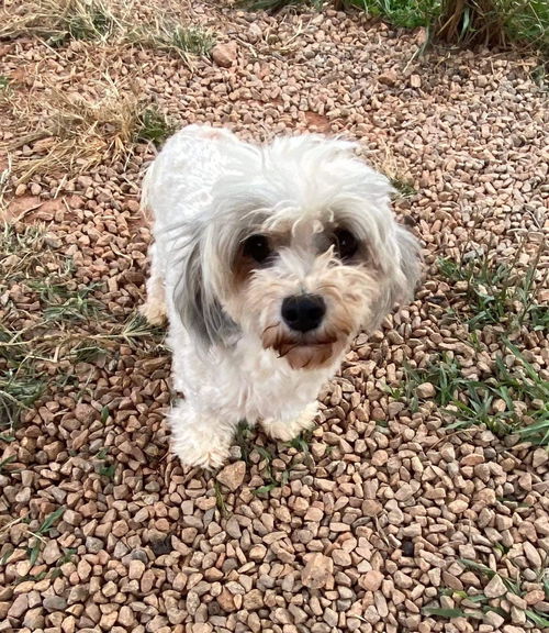 Ruby