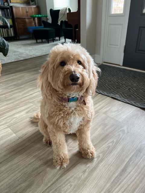 Rosie