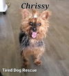 Chrissy Snow aka Abby