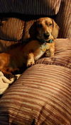 Gunther