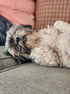 Khloe