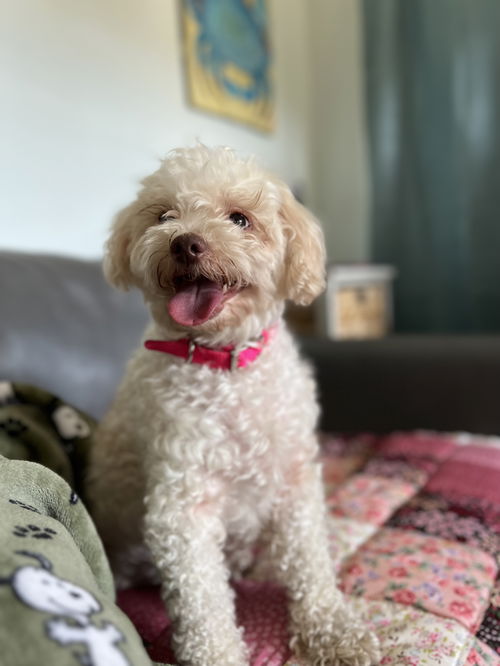 Lizzie