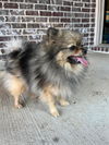 Lexi Bee