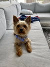 Toad aka Rocky