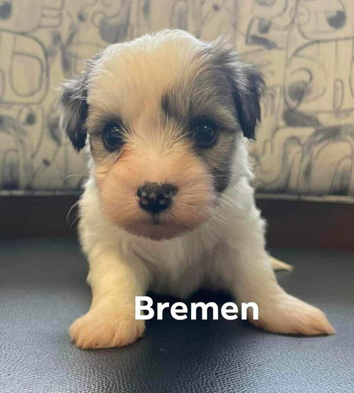 Bremen