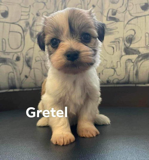 Gretel