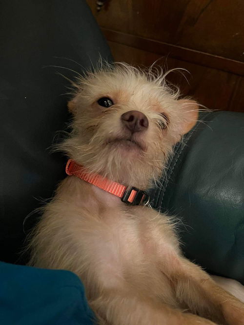 Lilah Mae