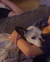 Ethel