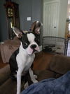 Maggie
