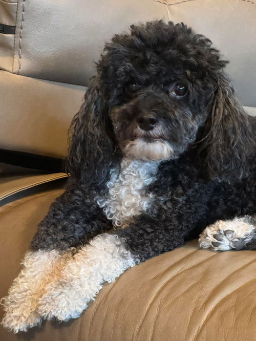 Isabel aka Izzy Azalea