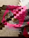Chica
