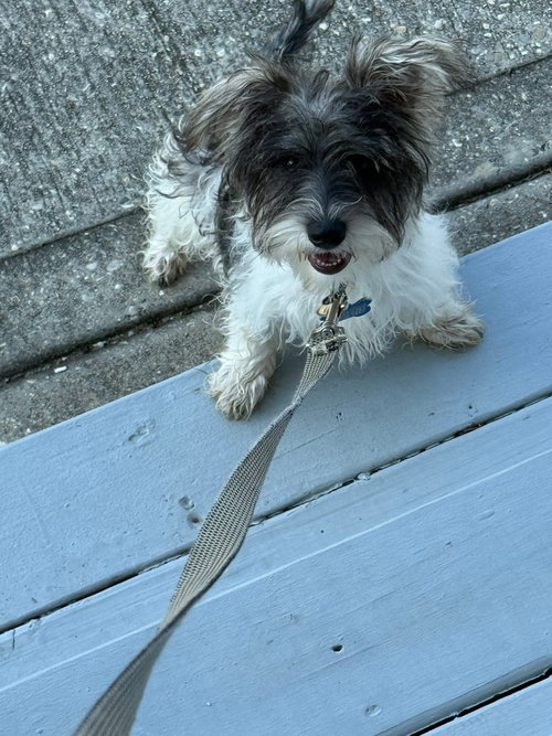 Belle Mae