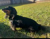 Maggie