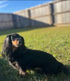Maggie