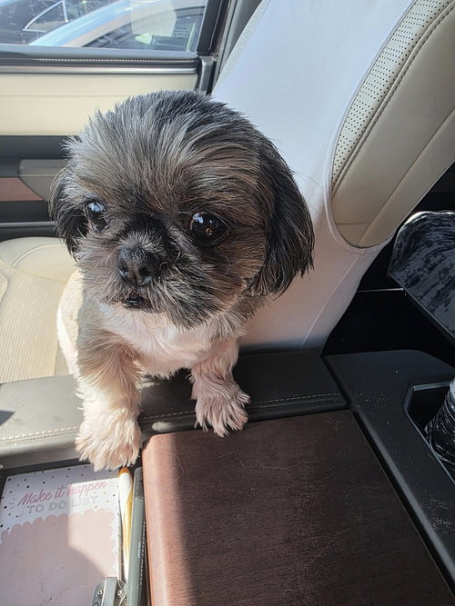 Coco Chanel