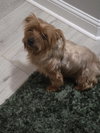 Reba