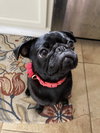 Winnie (Winnifred Grace)