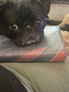 Winnie (Winnifred Grace)