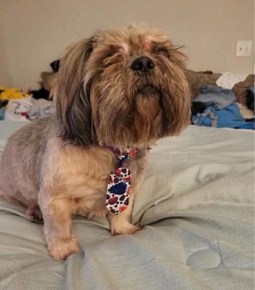 Teddy B