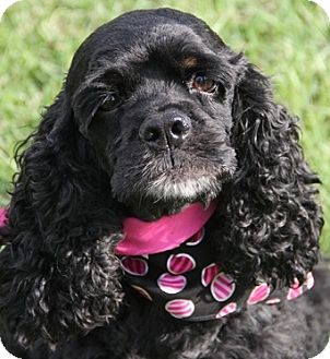 Mollie