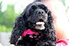 Mollie