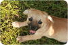 Roxy