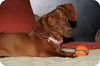 RUBY
