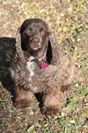 Molly