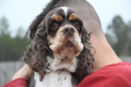 Clancey