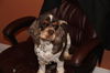Clancey